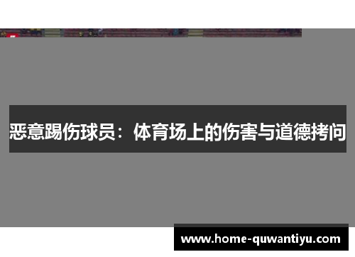 恶意踢伤球员：体育场上的伤害与道德拷问